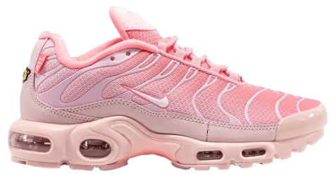 Кроссовки Nike TN Plus Pink
